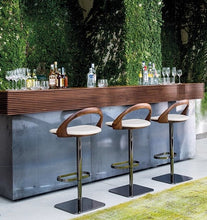 Load image into Gallery viewer, Siena Loop Back Bar Stool By Getz Interiors
